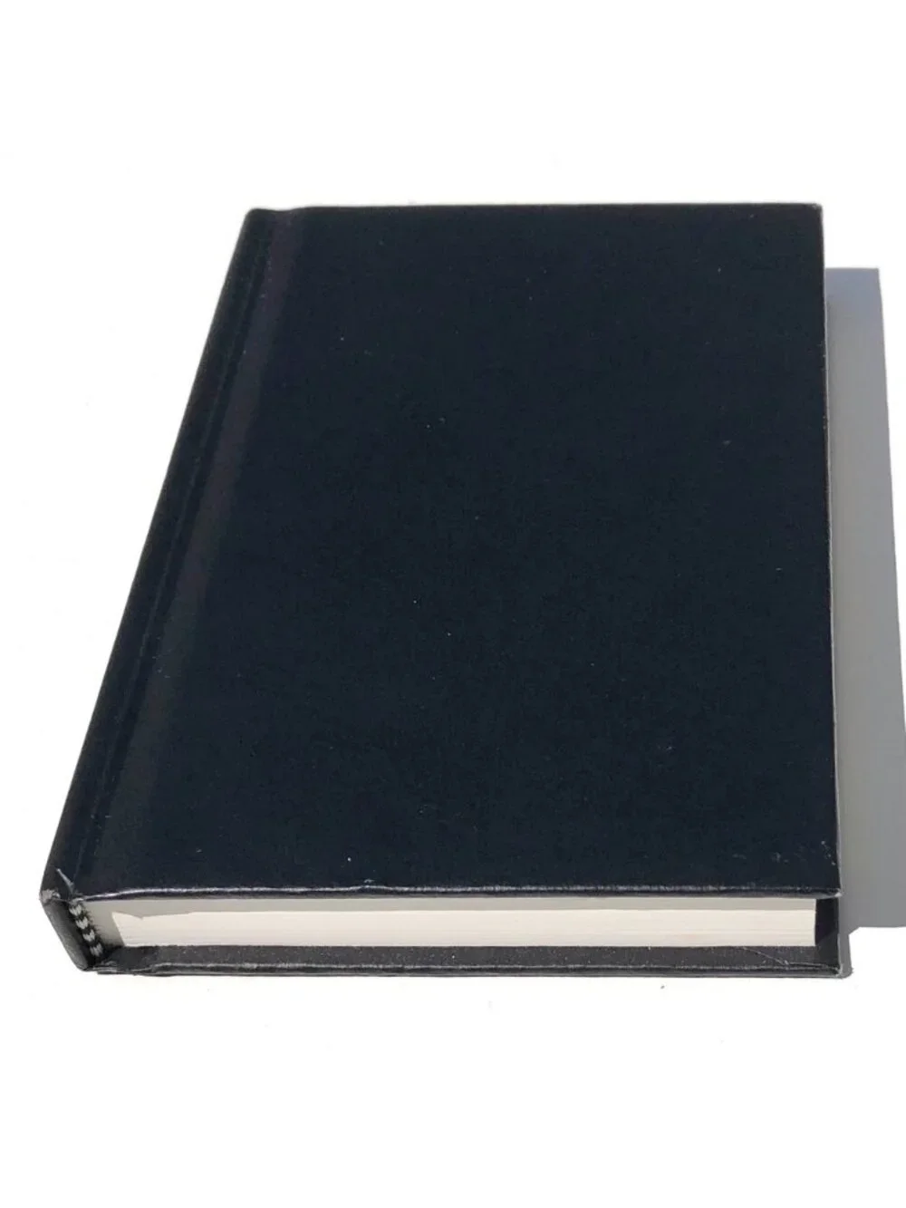 Canson Premium Lined Journal 4